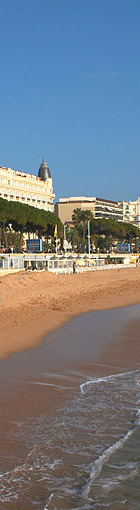 Cannes (Alpes-Maritimes, France)