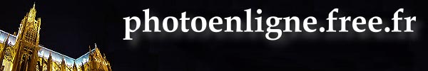 Cliquez droit pour enregistrer
