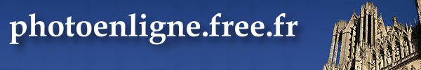 Cliquez droit pour enregistrer